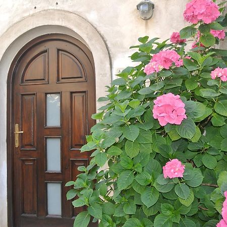 Trentinara B&B Casa Antonia المظهر الخارجي الصورة