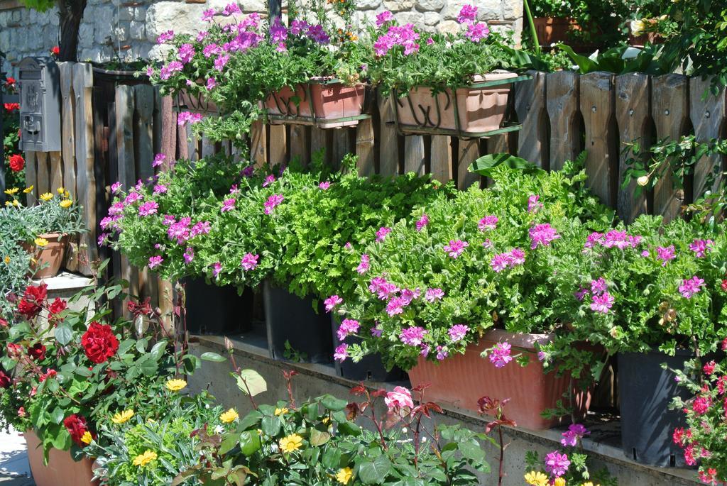 Trentinara B&B Casa Antonia المظهر الخارجي الصورة