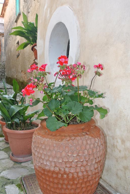 Trentinara B&B Casa Antonia المظهر الخارجي الصورة