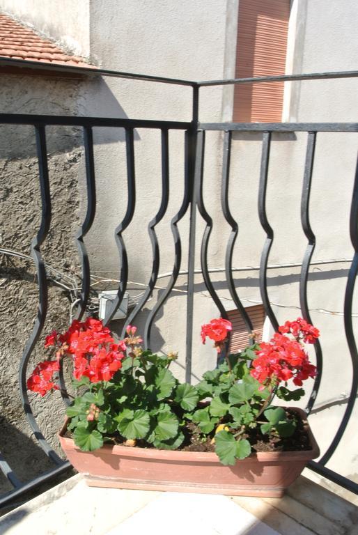 Trentinara B&B Casa Antonia المظهر الخارجي الصورة