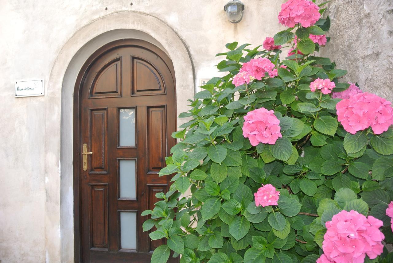 Trentinara B&B Casa Antonia المظهر الخارجي الصورة